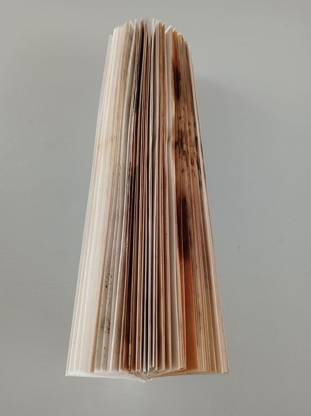 2025_K�kar-Diary_02_cIna-Schneider